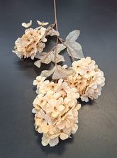 Fir Brumărele crem-vanilie, 88cm – flori artificiale